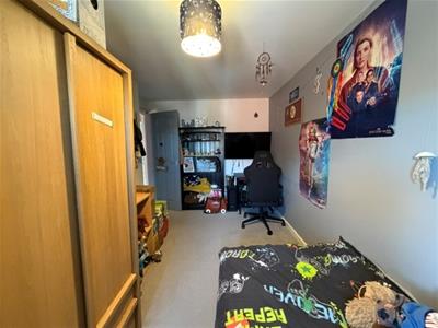 Picture 12